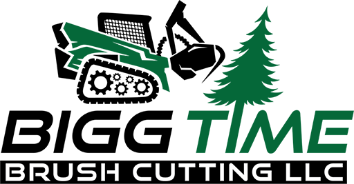 Bigg Time Brush Cutting LLC